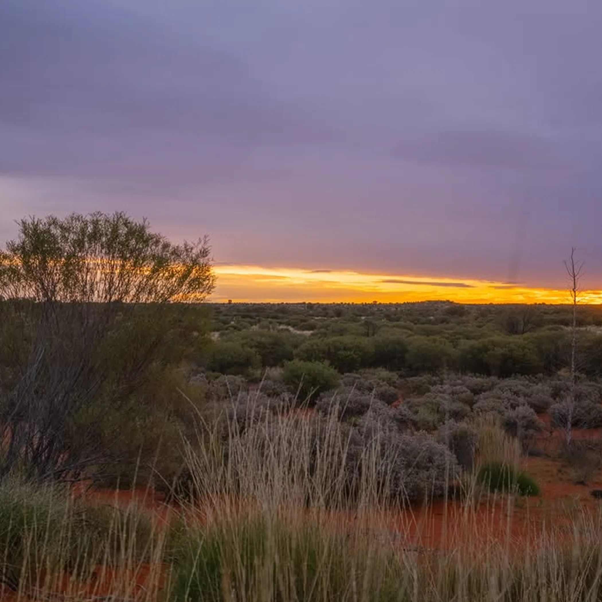 early morning layering for uluru sunrise