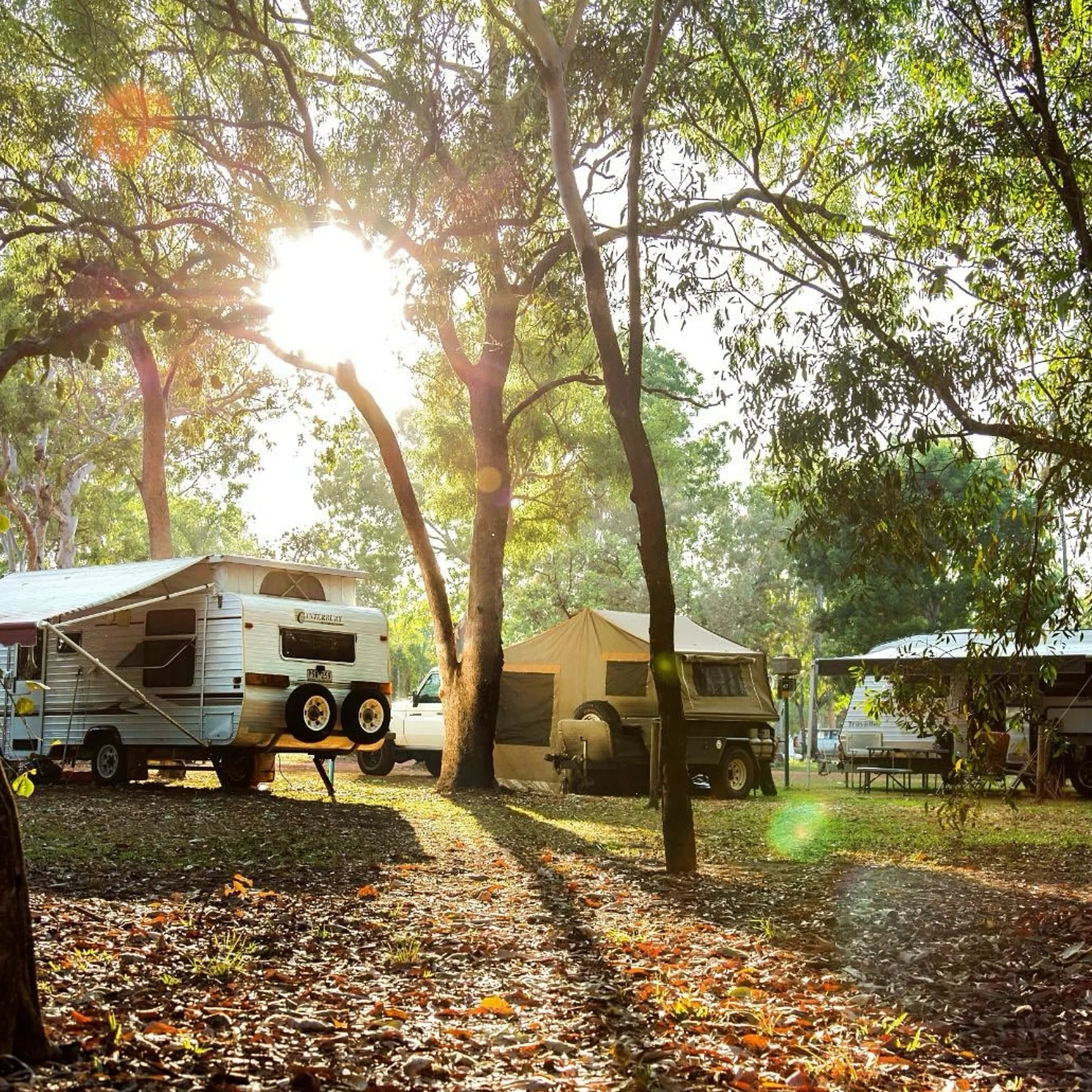 camping trailers in wooded area