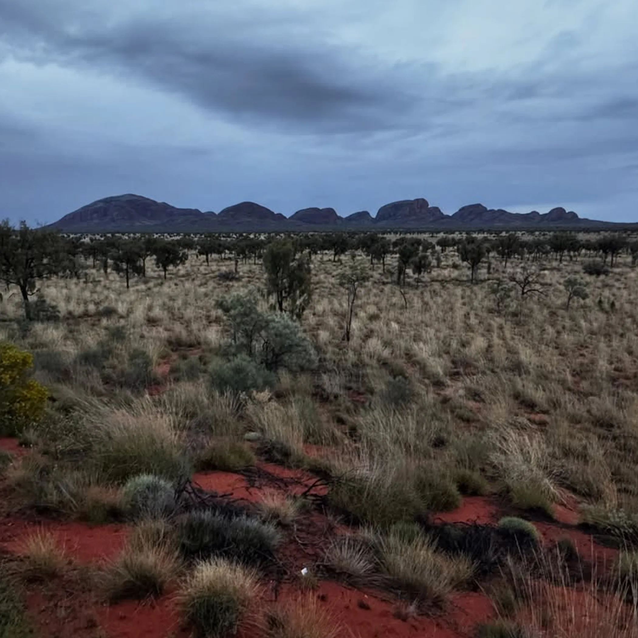 reusable water bottles on desert daypack