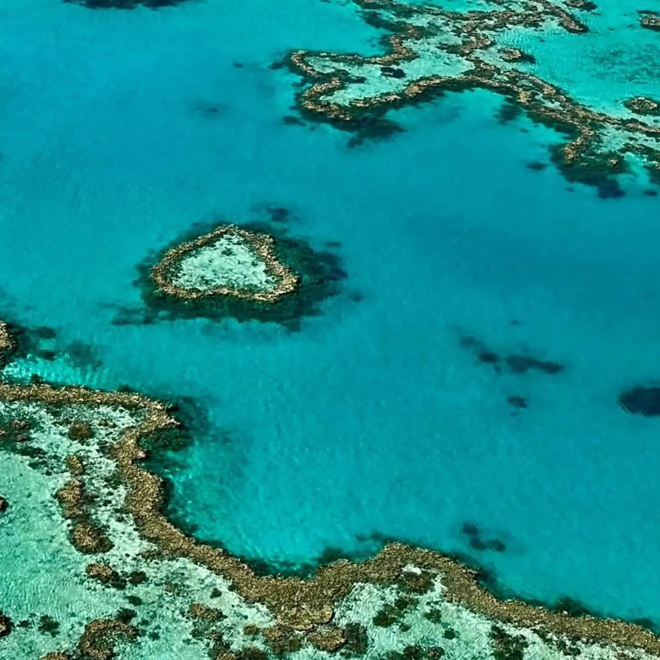 whitsunday reef scenery